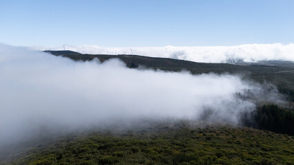 Obraz premium Scenic View of Misty Hills and Wind Turbines at Dawn