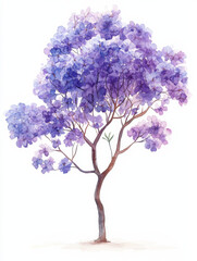 Obraz premium Watercolor illustration of jacaranda tree with vibrant purple flowers, showcasing its delicate beauty and artistic flair. Perfect for nature lovers and art enthusiasts