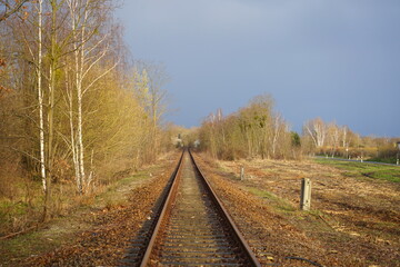 Obraz premium Eisenbahnstrecke im Wald