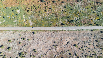 Top View of Car on Road Through Diverse Landscape