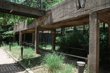 seoul, korea, summer, plant, garden, park, architecture