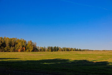 Obraz premium Road shoulder on a sunny autumn day. Views of the landscape from the car window.