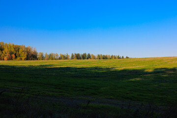 Obraz premium Road shoulder on a sunny autumn day. Views of the landscape from the car window.