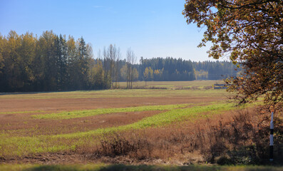 Road shoulder on a sunny autumn day. Views of the landscape from the car window.