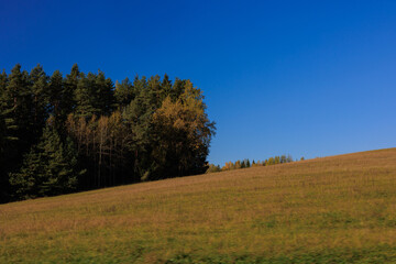 Obraz premium Road shoulder on a sunny autumn day. Views of the landscape from the car window.