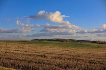 Obraz premium Road shoulder on a sunny autumn day. Views of the landscape from the car window.