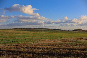 Road shoulder on a sunny autumn day. Views of the landscape from the car window.