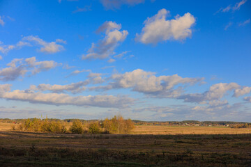 Obraz premium Road shoulder on a sunny autumn day. Views of the landscape from the car window.