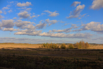 Road shoulder on a sunny autumn day. Views of the landscape from the car window.