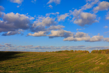 Obraz premium Road shoulder on a sunny autumn day. Views of the landscape from the car window.