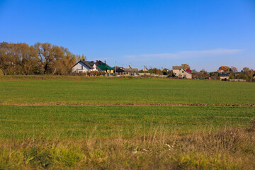 Fototapeta premium Road shoulder on a sunny autumn day. Views of the landscape from the car window.
