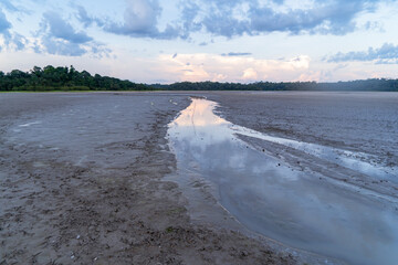 Cuyabeno lagoon in the Ecuadorian jungle