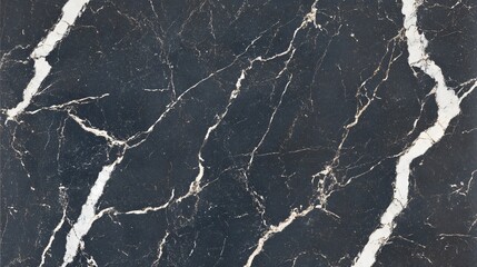 Elegant Black and White Marble Texture Background
