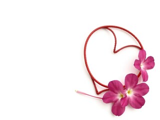 Obraz premium A delicate red heart intertwined with a vibrant pink flower against a crisp white background, purity, passion