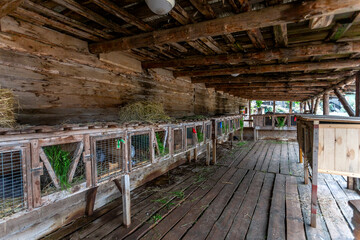 The interior of an old village stable, Inside a wooden stable with hay and straw on the floor. Walls with wooden beams. A cattle pen and a wooden floor