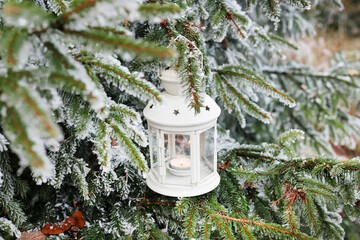 White lantern hanging on fir branch in the garden.