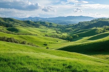 Fototapeta premium Lush green hills under a blue sky with distant mountains, showcasing natural beauty.