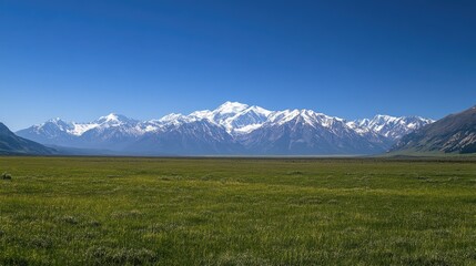Fototapeta premium Here's a possible response following your specifications.. Panoramic view of a vast green meadow with a snow-capped mountain range under a clear blue sky.