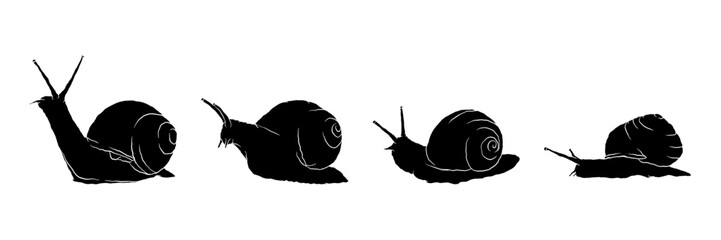 Snail silhouette collection vector illustration © Rizkreativ