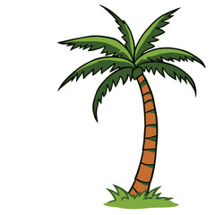A tall palm tree with a brown trunk and large green fronds against a plain background