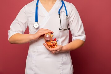 woman is holding anatomical model stomach in the hands. Help and care concept