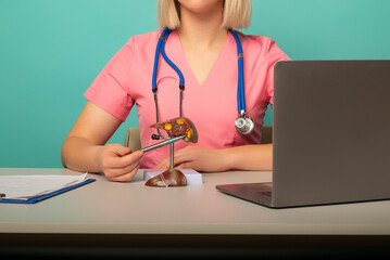 woman doctor pointing a liver anatomical model