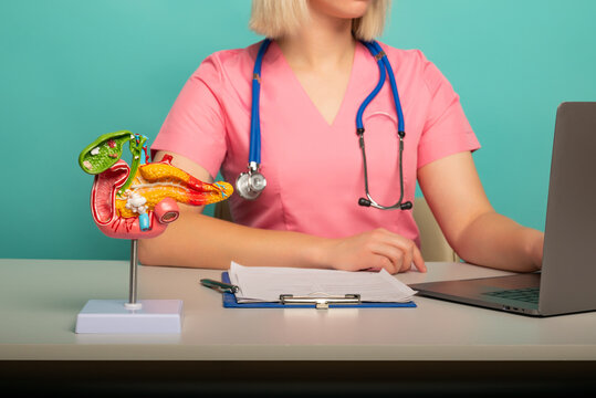 anatomical model pancreas on work desk of doctor