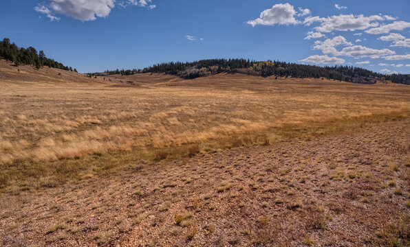 Pleasant Valley in Kaibab National Forest AZ
