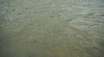 photo of murky water in the river
