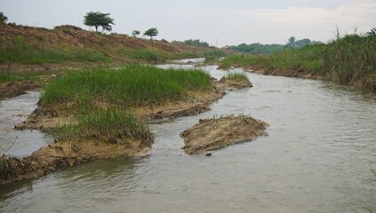Wulan River in Demak, Central Java, seven months after the flood due to the Wulan River embankment breaking