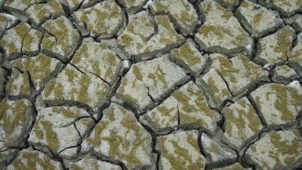 Broken soil texture background, broken soil broken due to drought and there is green and dry moss, suitable for your background,