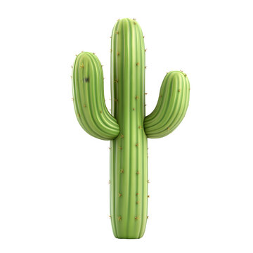 3d rendered image of a green cactus plant with two arms, set against a transparent backdrop