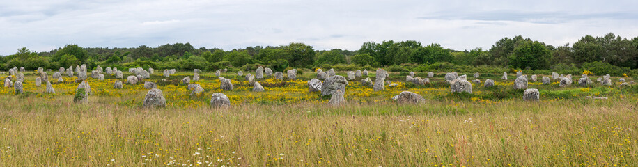 The Menec menhir alignments of Carnac (Carnac, Morbihan, Bretagne, France)