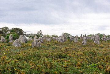 The Kermario menhir alignments of Carnac (Carnac, Morbihan, Bretagne, France)