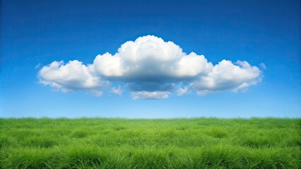 Obraz premium cloud in the blue sky with green grass below