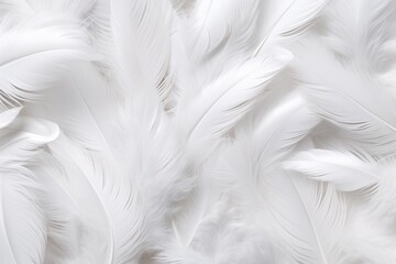 Obraz premium White Soft Feathers Background, White Fluffy feathers pattern, Beautiful feathers background, feathers wallpaper, bird feathers pattern, AI Generative
