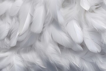 Fototapeta premium White Soft Feathers Background, White Fluffy feathers pattern, Beautiful feathers background, feathers wallpaper, bird feathers pattern, AI Generative