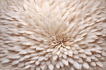 White Feather Background, Feather Wallpaper, Feathers Background, Fluffy Feather Texture, Feather Pattern, Feather Texture, Fur Texture, AI Generative