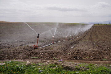agricultural field with sprinklers