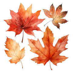 Four Autumn Maple Leaves in Watercolor Style, Vibrant Hues