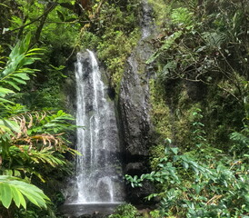 DCIM\100GOPRO\GOPR2017.JPG vall&eacute;e Papeete