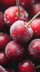 Close-up view of cherry berries covered with frost against a black background, capturing winter\'s chill and beauty in nature
