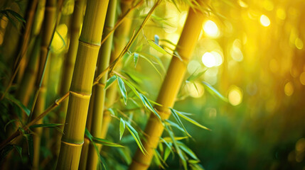 Bamboo Sanctuary. A Retreat into Natural Splendor