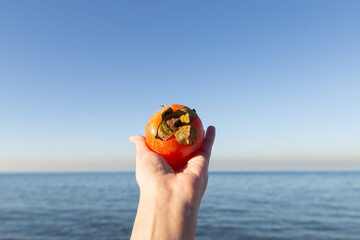 ripe persimmon in a woman hand against the backdrop of the sea.