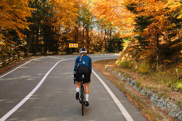 Fototapeta premium Female cyclist rides on scenic autumn road. Vibrant fall foliage creates a stunning backdrop. Perfect for active lifestyle, travel, or seasonal themes.