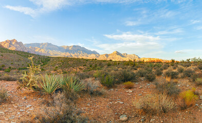 Sunset in the Lost Creek area. Red Rock Canyon National Conservation Area