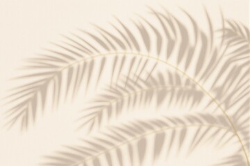 Elegant Tropical Shadow of Palm Leaves on Soft Beige Background