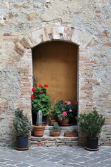 Naklejka premium Medieval front door with plants