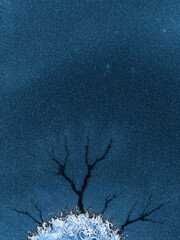 The ice on the lake, just frozen and covered with freshly fallen snow, looks like a starry night sky in the dawn twilight, and the cracks in the ice look like the roots of a fairy-tale tree