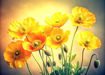 Vintage Style Photography of Isolated Yellow Poppy Flowers on a Clean Background for Elegant Floral Decor and Nature-Inspired Designs